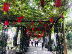 -荔湾湖公园