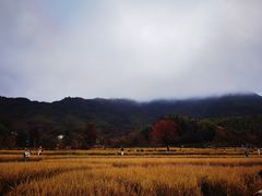 -塔川景区