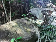 -青青世界
