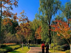 -昆山城市生态森林公园