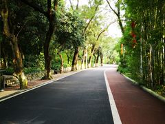 -广州市干部健康管理中心