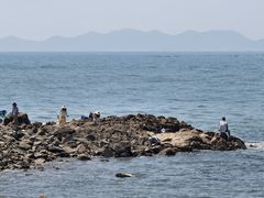 -小麦岛公园