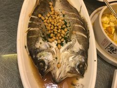 梅黄豆蒸黄鱼鲞-新镇江酒家(南京西路店)