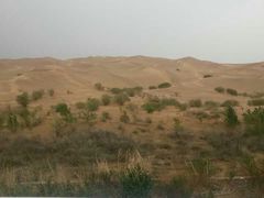 -亿利库布其七星湖沙漠生态旅游区