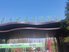 -黄海国家森林公园