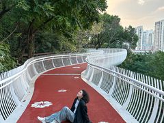 -金鸡山公园