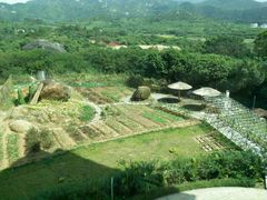 -惠州金海湾嘉华度假酒店