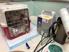 -纳吉亚猫专科动物医院博雅分院