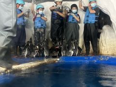 -太平洋海底世界