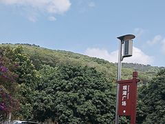 -东莞市大岭山森林公园