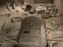 -洛阳周王城天子驾六博物馆