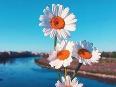 -尊品牛排(恒峰店)