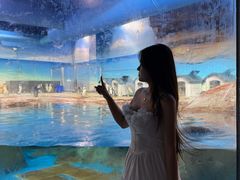-海合安武汉极地海洋公园