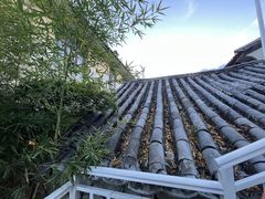-阿鹏故事云南野生菌火锅(人民路店)