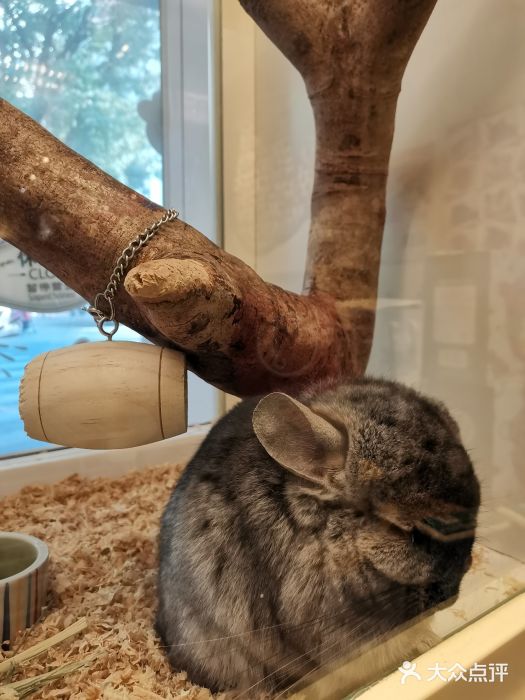 龙猫仔乐园(惠福东路店)图片