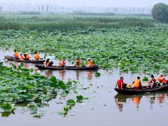-洪湖生态旅游区