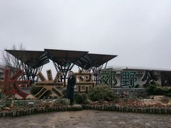 -上海长兴岛郊野公园