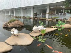 -罗红摄影艺术馆