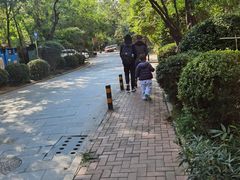 -青岛城阳宝龙福朋喜来登酒店