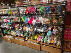 -番茄口袋(上海普陀区环球港店)