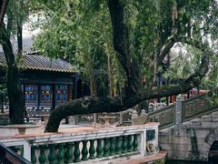-宝墨园景区