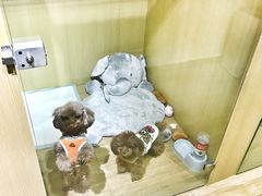 -Double Rui宠物酒店