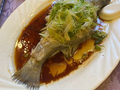 -粤·向群饭店(泮塘路店)