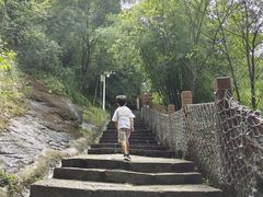 -广州白江湖森林公园