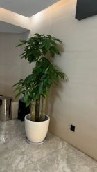 -KONSISTANT科思坦汀问题肌·科技美肤