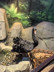 -酷嗒动物文化乐园(cutezoo西溪乐天城店)