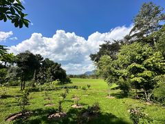 -中国科学院西双版纳热带植物园