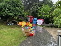 -铁山坪森林公园