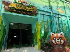 -海合安成都极地海洋公园