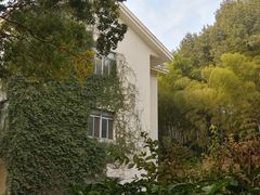 -上海市保健医疗中心