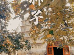 -北京石刻艺术博物馆(五塔寺)