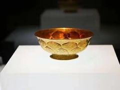 -陕西自然博物馆