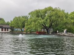 -百脉泉景区