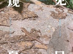 -北京密云天门山风景区