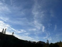 -大连植物园