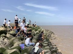 -南汇嘴观海公园