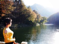 -龙道沟景区