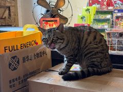 -正阳书局(西四南大街店)