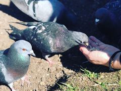-谢尔盖圣三一大修道院