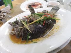 -长平肥姐白粥·海鲜打冷