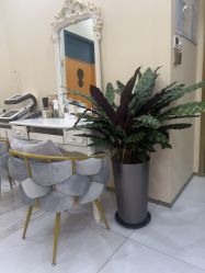 -美肤盾祛痘·问题肌头疗管理中心