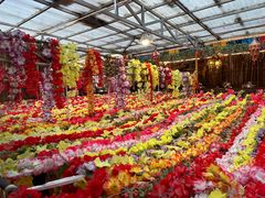 -吉祥圣雪藏餐