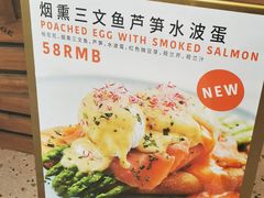 -WHEN PIGS FLY当猪飞