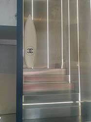 点击看大图 -金棕榈