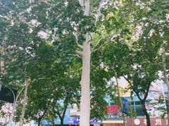 -山东理工大学