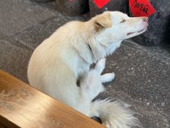 -孝店王酒酿馒头(安昌1店)